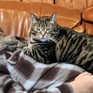 Meet your Posher, Debra